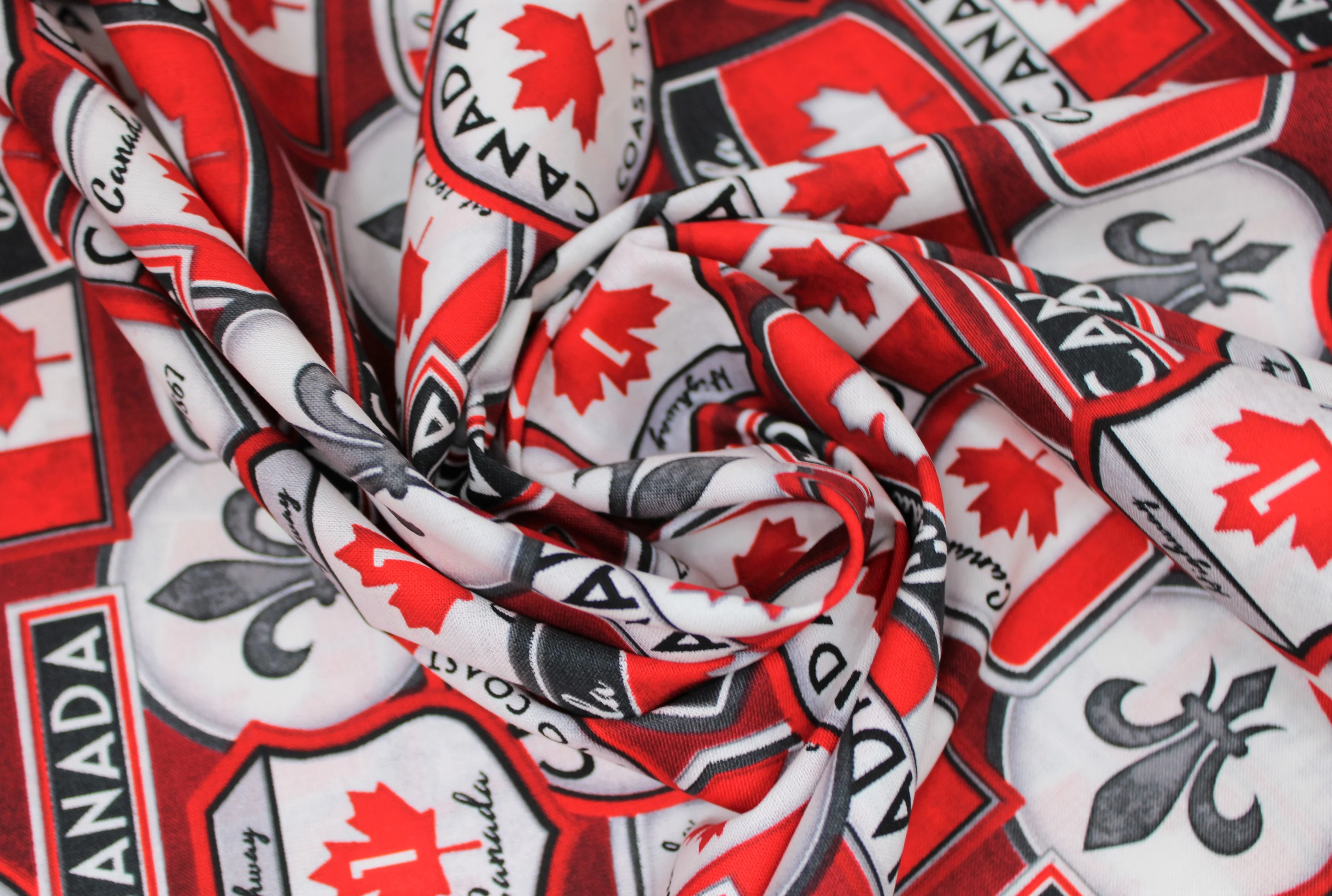 Canadianisms - 44/45" - 100% Cotton - WP Studio - Image 6