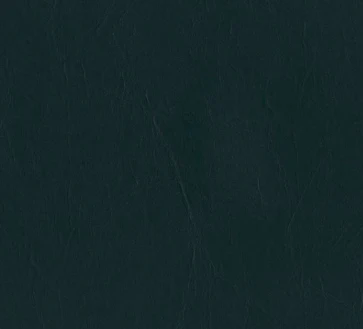 Daytona Vinyl - 54" - (-10C) - Image 15