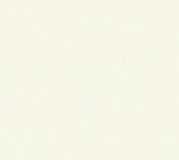 Daytona Vinyl - 54" - (-10C) - Image 22