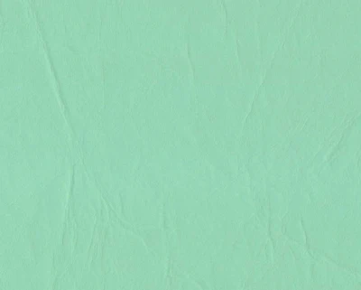 Daytona Vinyl - 54" - (-10C) - Image 32