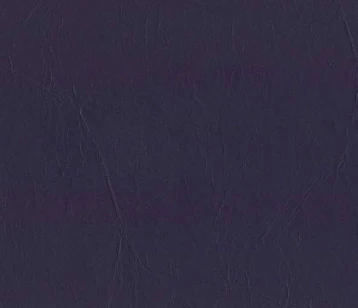 Daytona Vinyl - 54" - (-10C) - Image 40