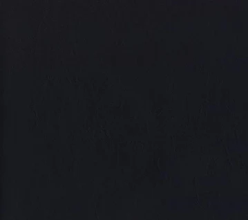 Daytona Vinyl - 54" - (-10C) - Image 5