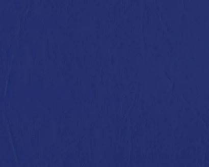 Daytona Vinyl - 54" - (-10C) - Image 53