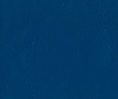 Daytona Vinyl - 54" - (-10C) - Image 6