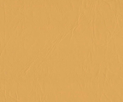Daytona Vinyl - 54" - (-10C) - Image 9
