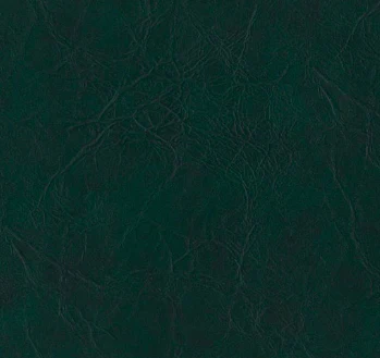 Tampa Vinyl - 54" - (-10C) - Image 7