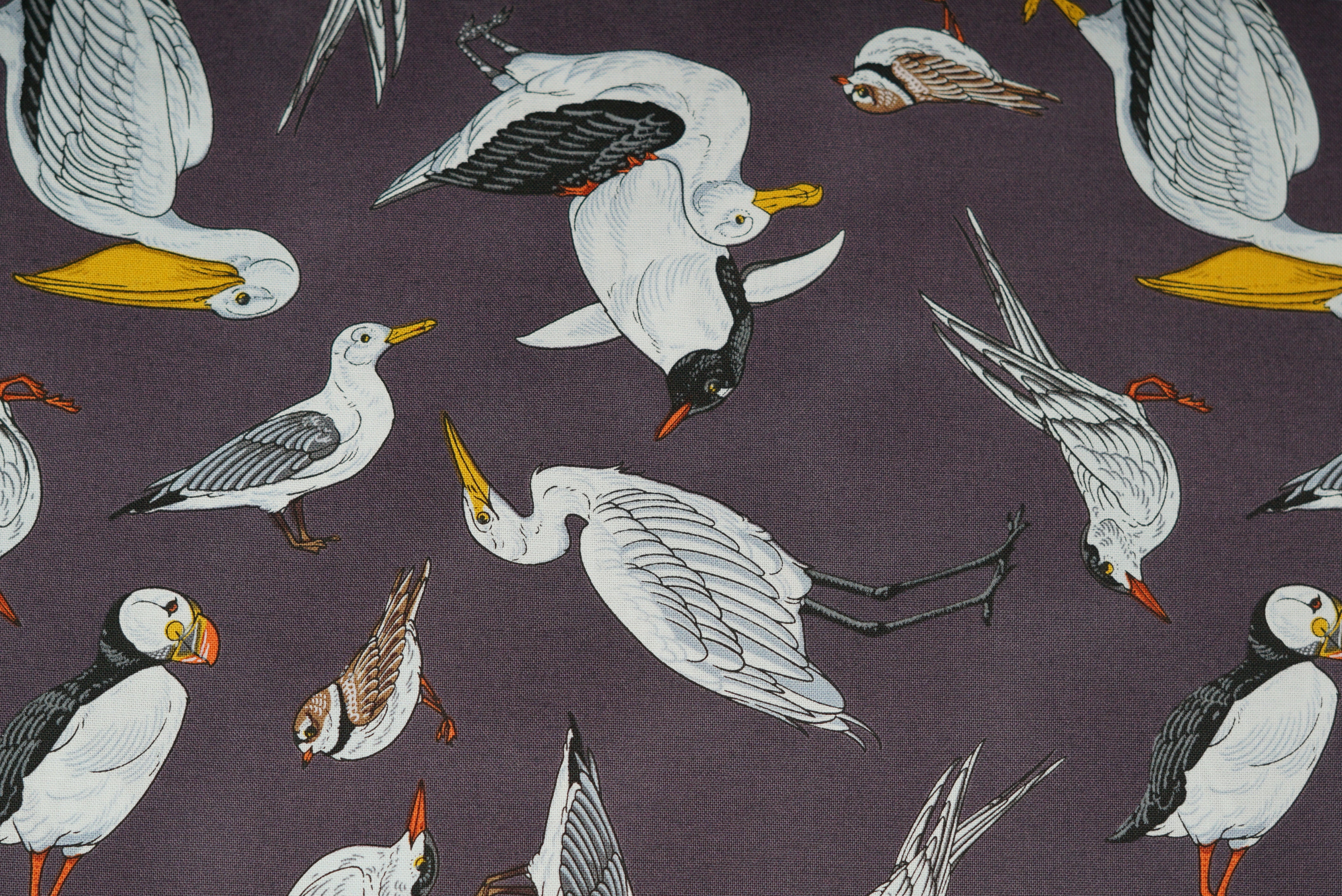 Birds of a Feather - 44/45" - 100% Cotton - Image 10