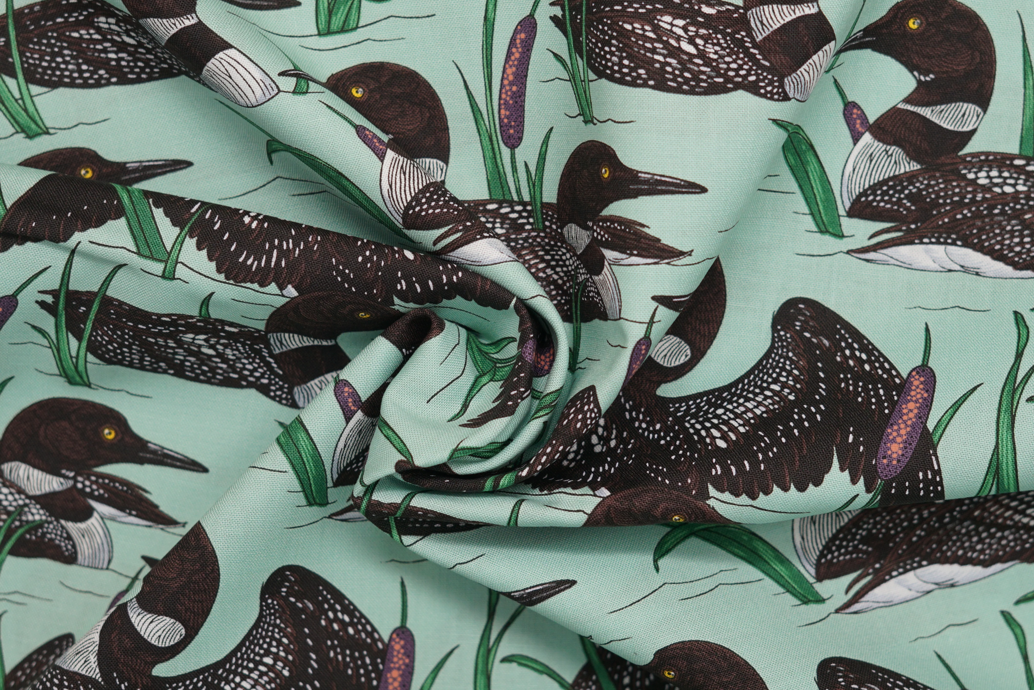 Birds of a Feather - 44/45" - 100% Cotton - Image 6
