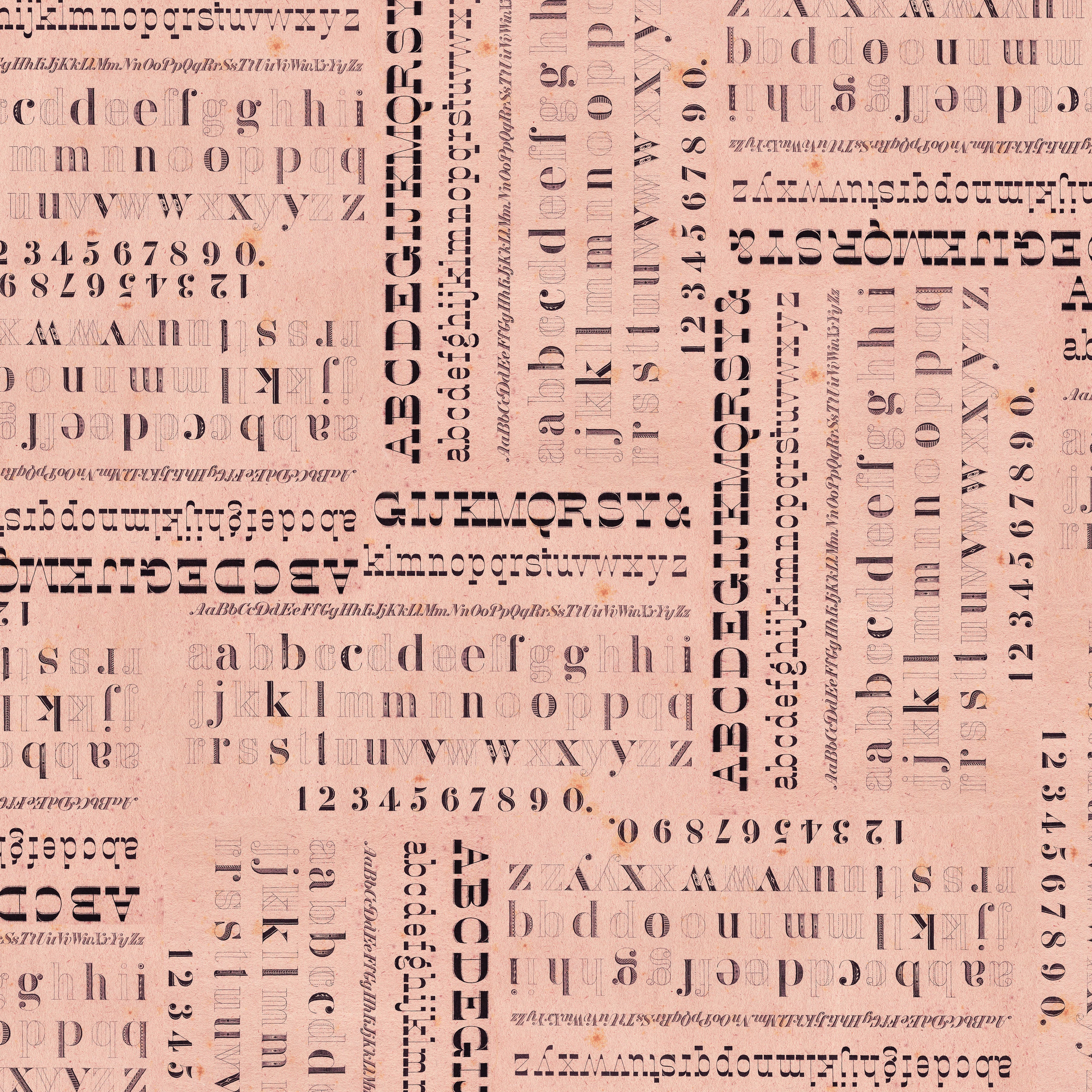 Palette Pink - 44" - 100% cotton - Tim Holtz - Image 10
