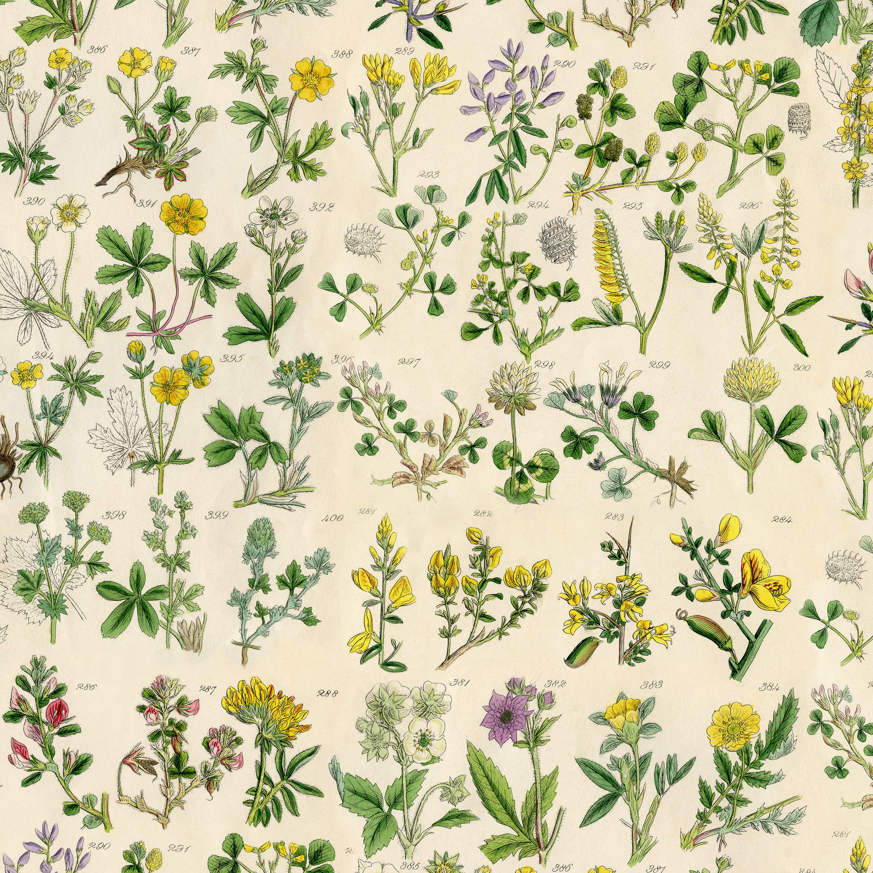 Palette Yellow - 44" - 100% cotton - Tim Holtz - Image 12