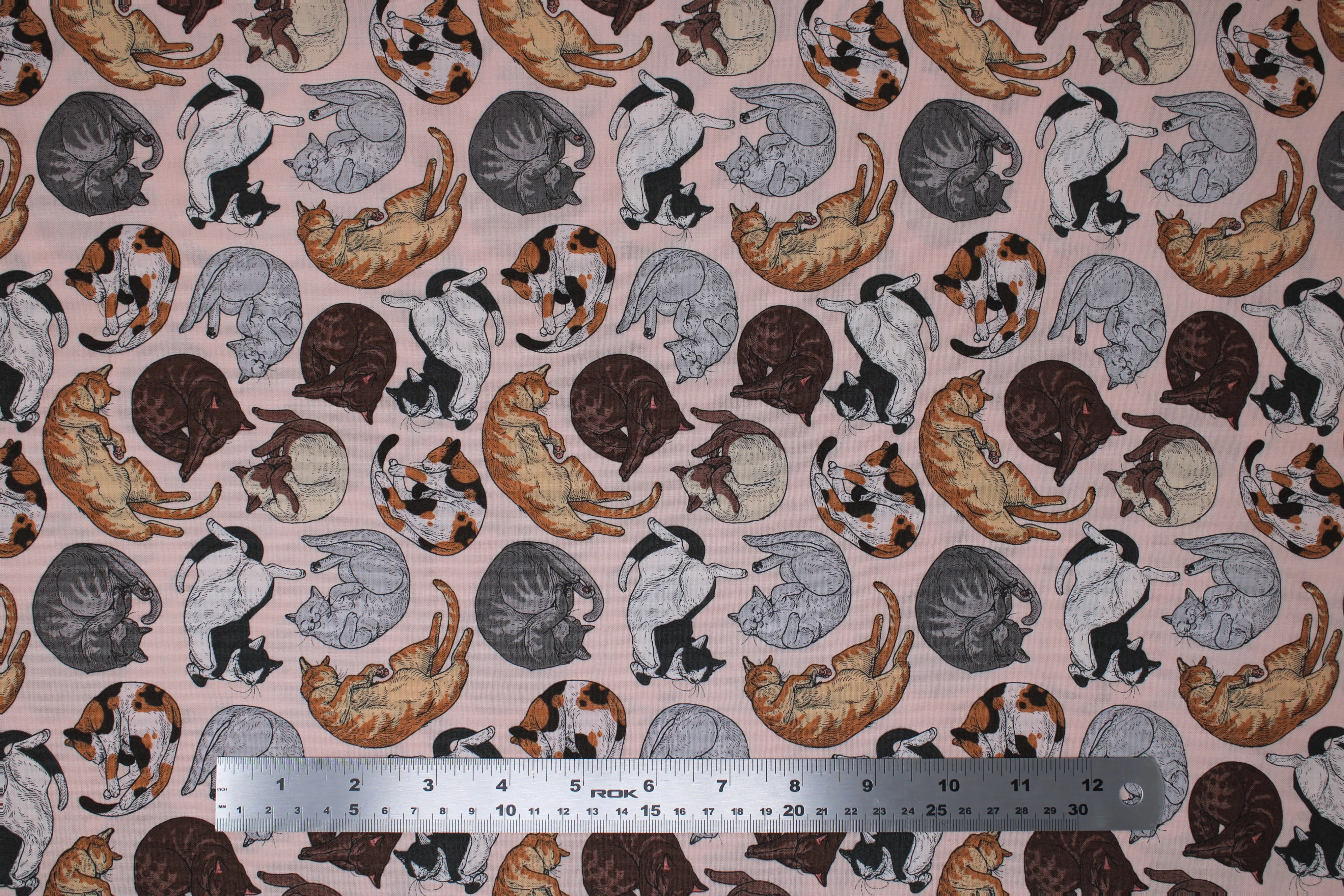 Cat Tales - 44" - 100% Cotton - Rachel Hauer - Image 2