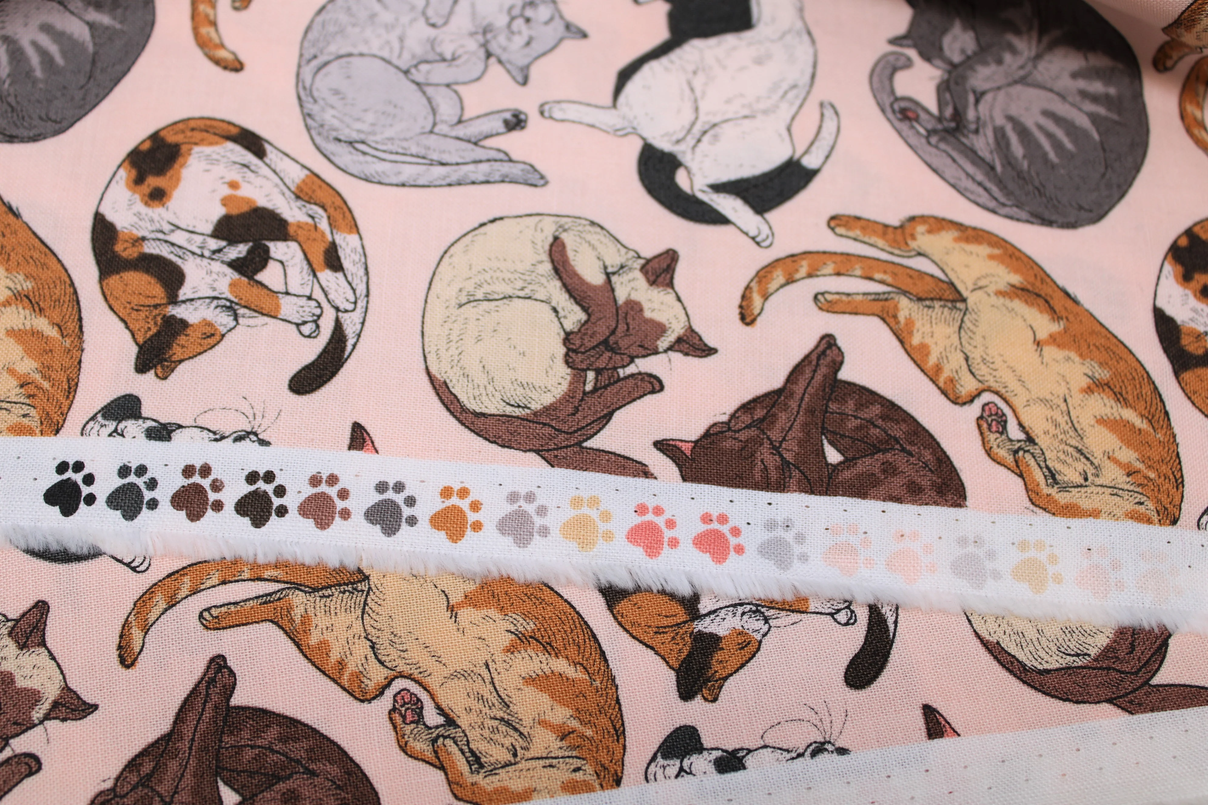 Cat Tales - 44" - 100% Cotton - Rachel Hauer - Image 4