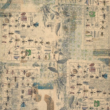 Foundations - 45" - 100% Cotton - Tim Holtz - Image 10