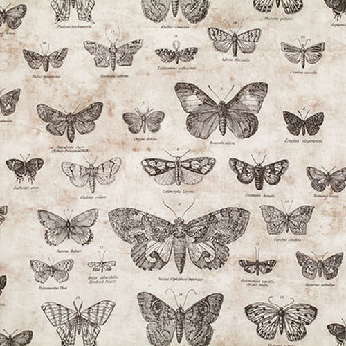 Foundations - 45" - 100% Cotton - Tim Holtz - Image 39