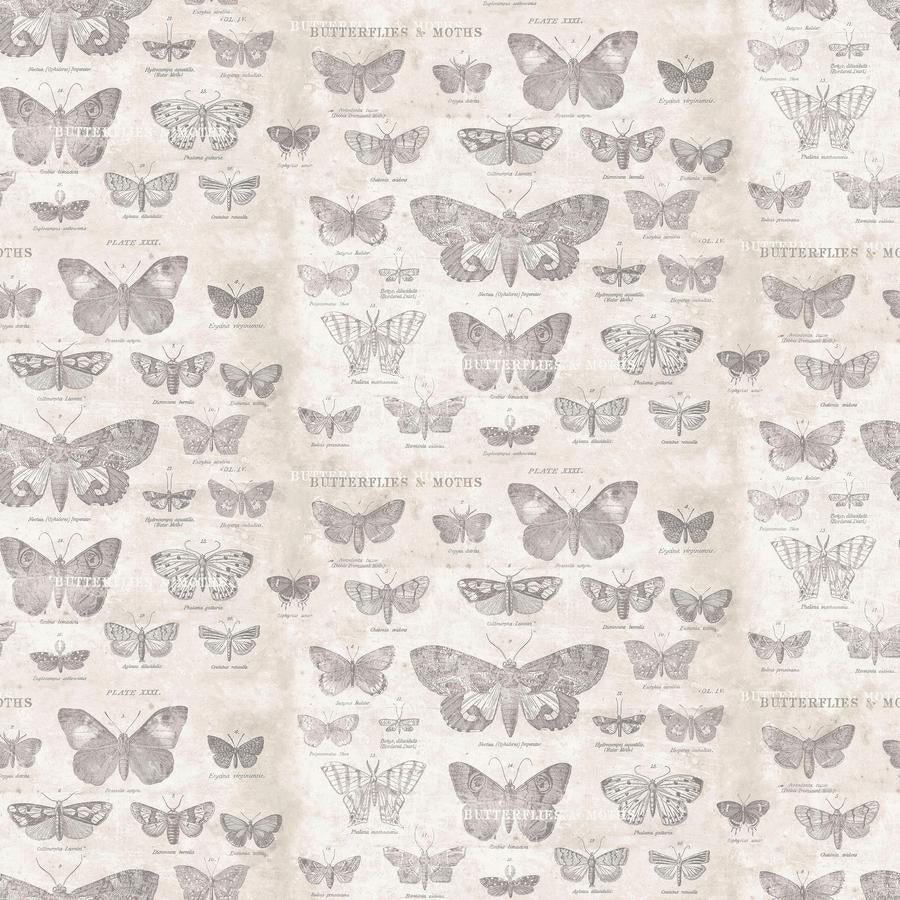 Foundations - 45" - 100% Cotton - Tim Holtz - Image 45