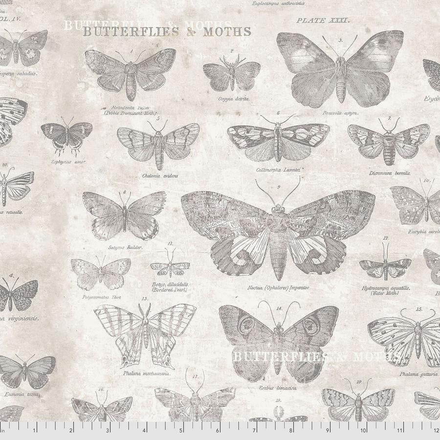 Foundations - 45" - 100% Cotton - Tim Holtz - Image 46