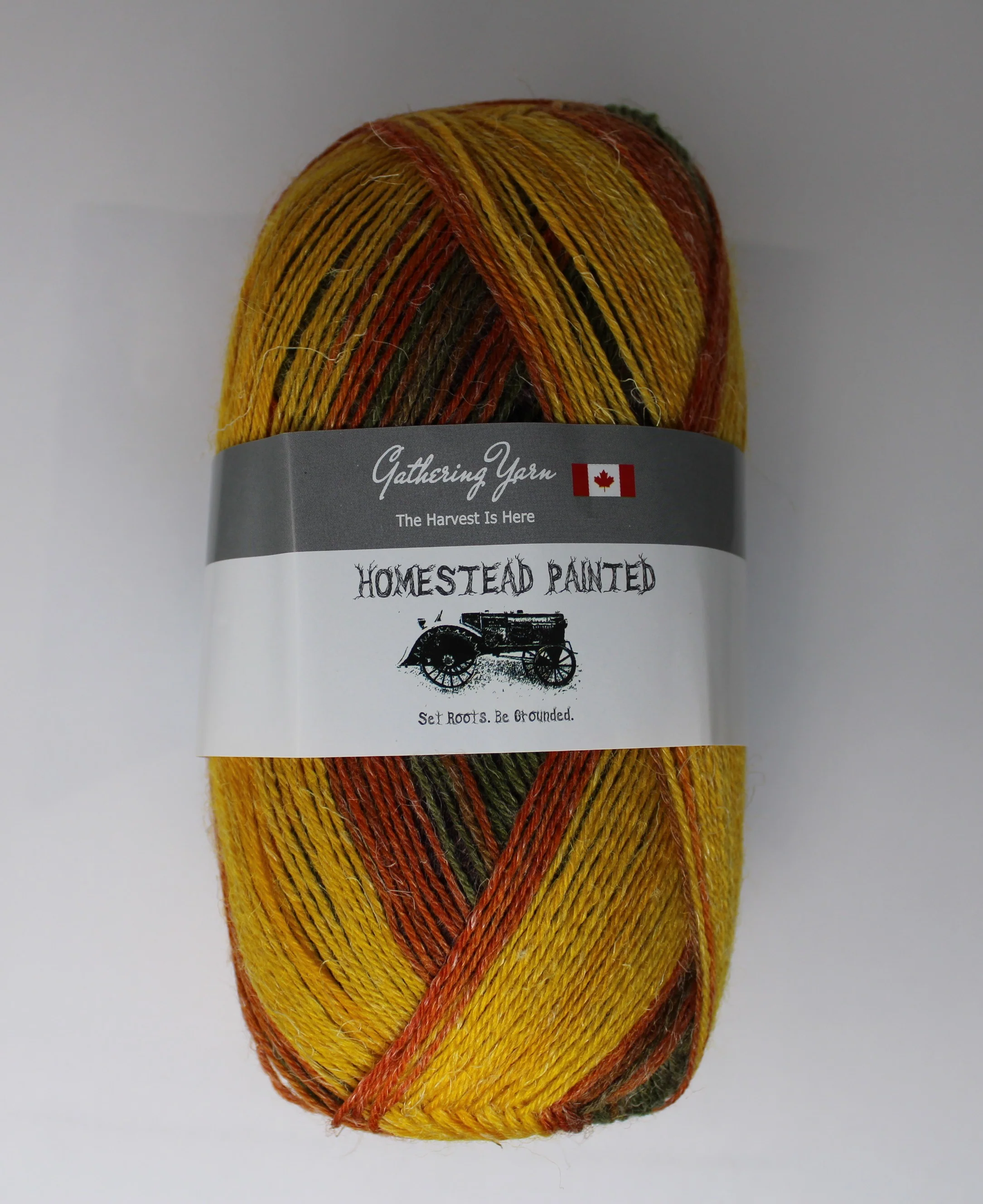 Homestead Painted - 100g - Gathering Yarns - Image 3