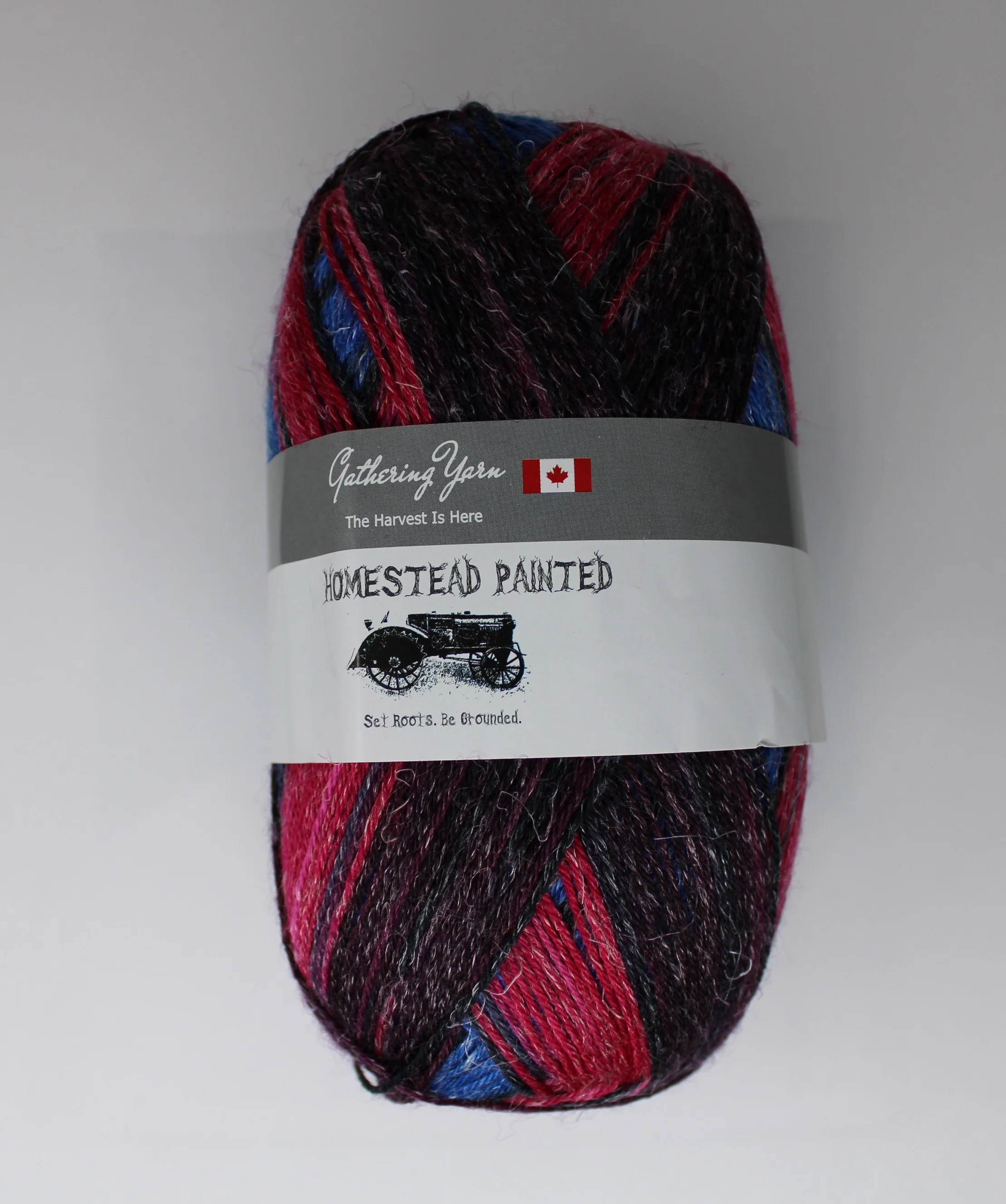 Homestead Painted - 100g - Gathering Yarns - Image 4
