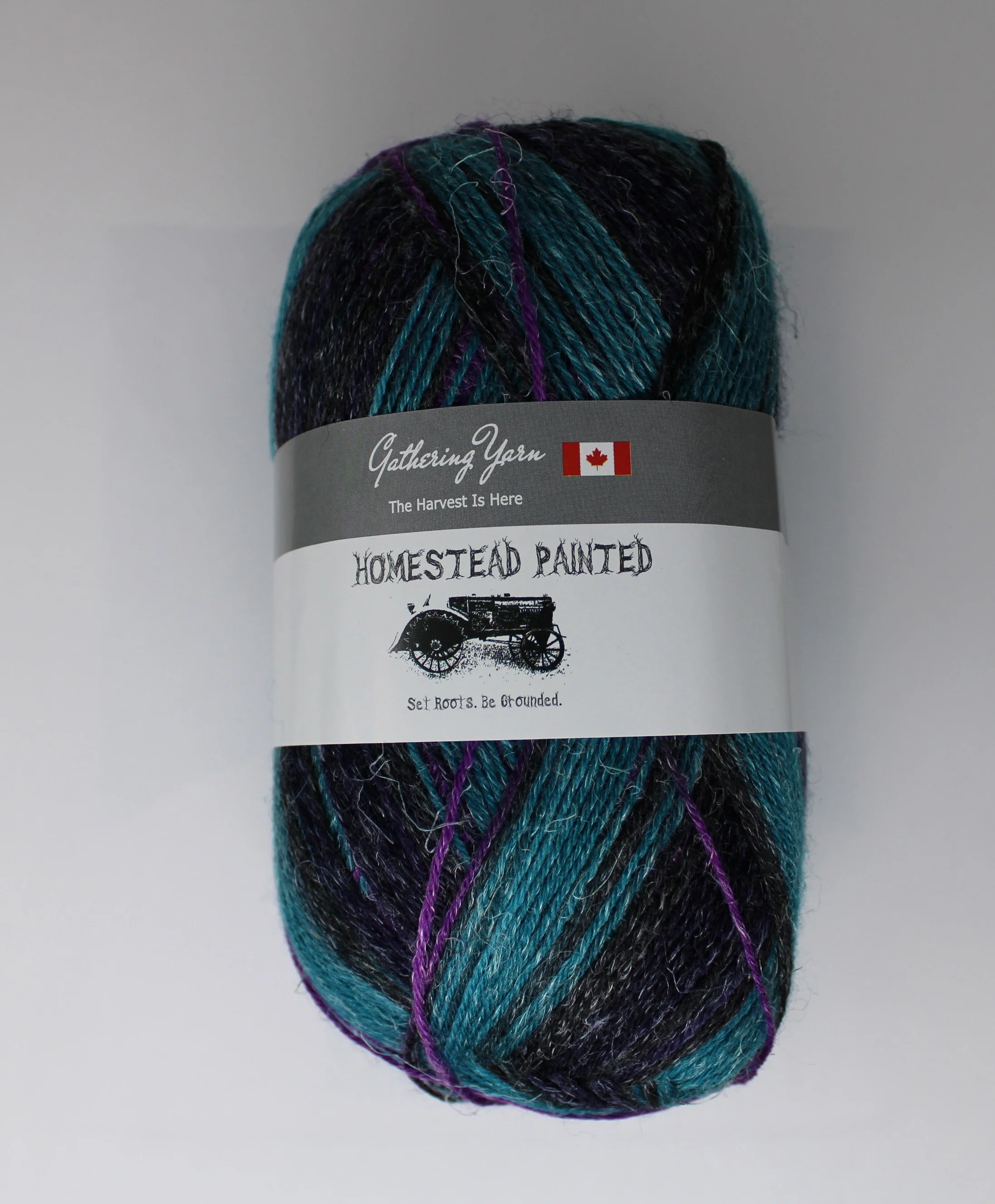 Homestead Painted - 100g - Gathering Yarns - Image 5