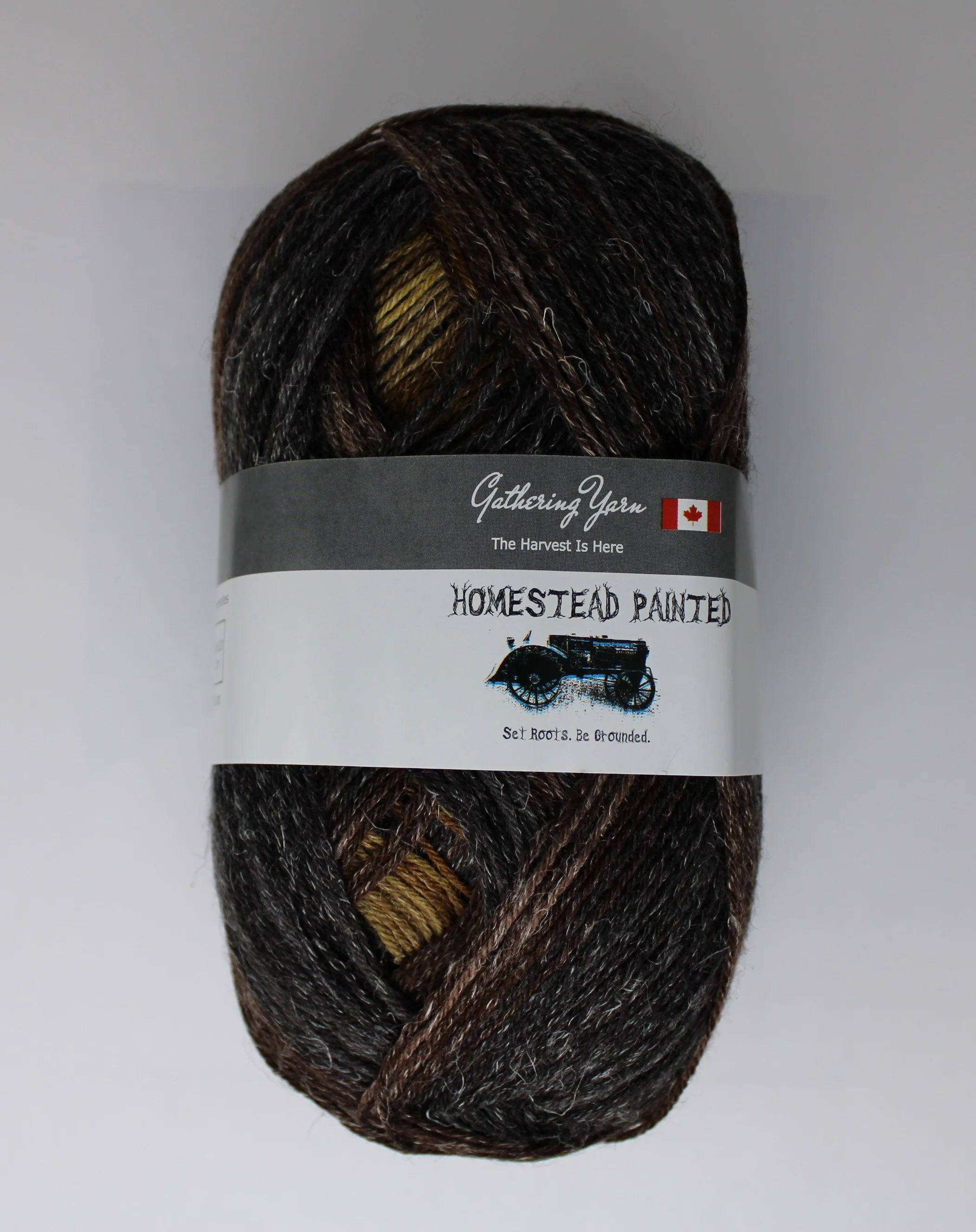 Homestead Painted - 100g - Gathering Yarns - Image 6