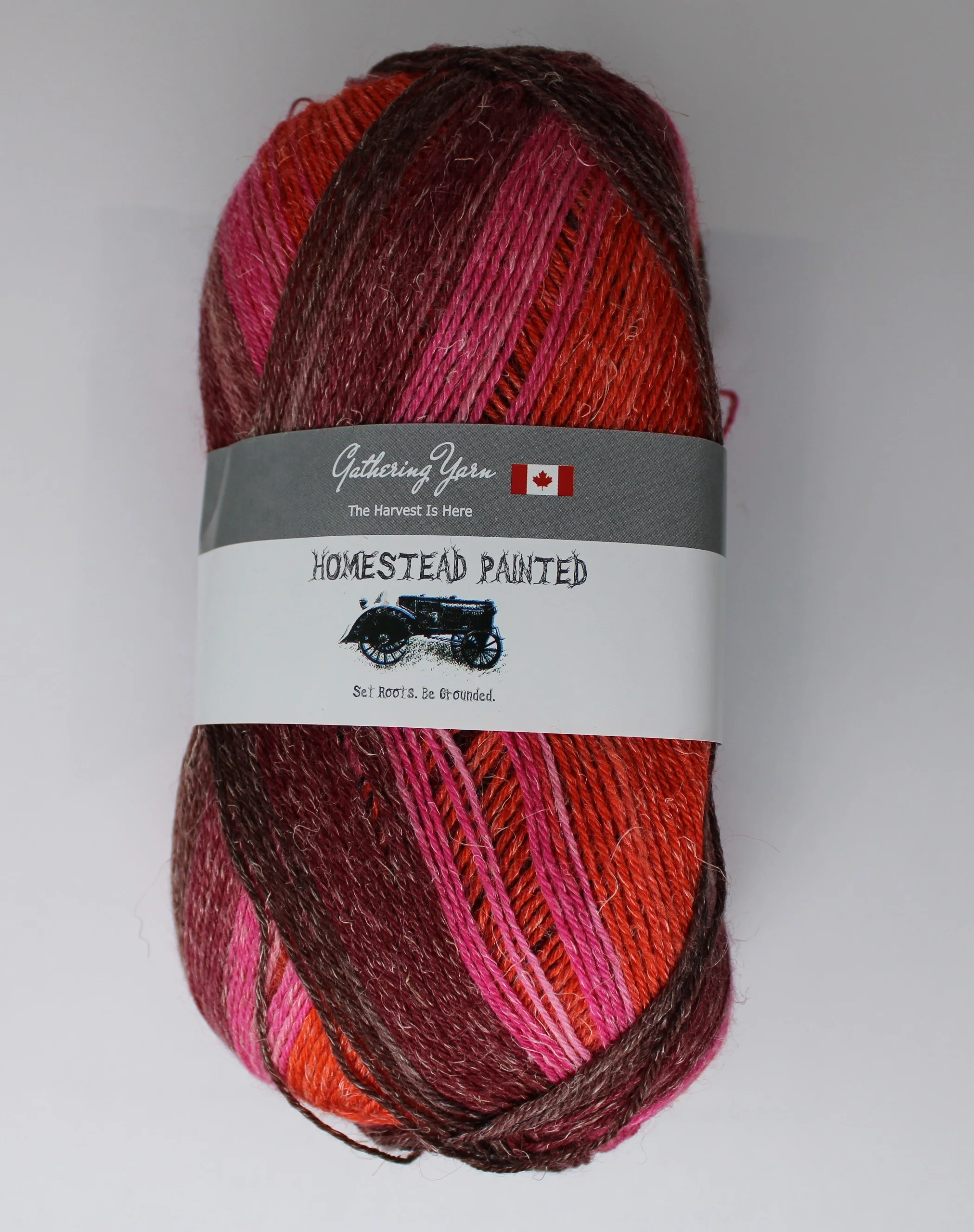 Homestead Painted - 100g - Gathering Yarns - Image 7
