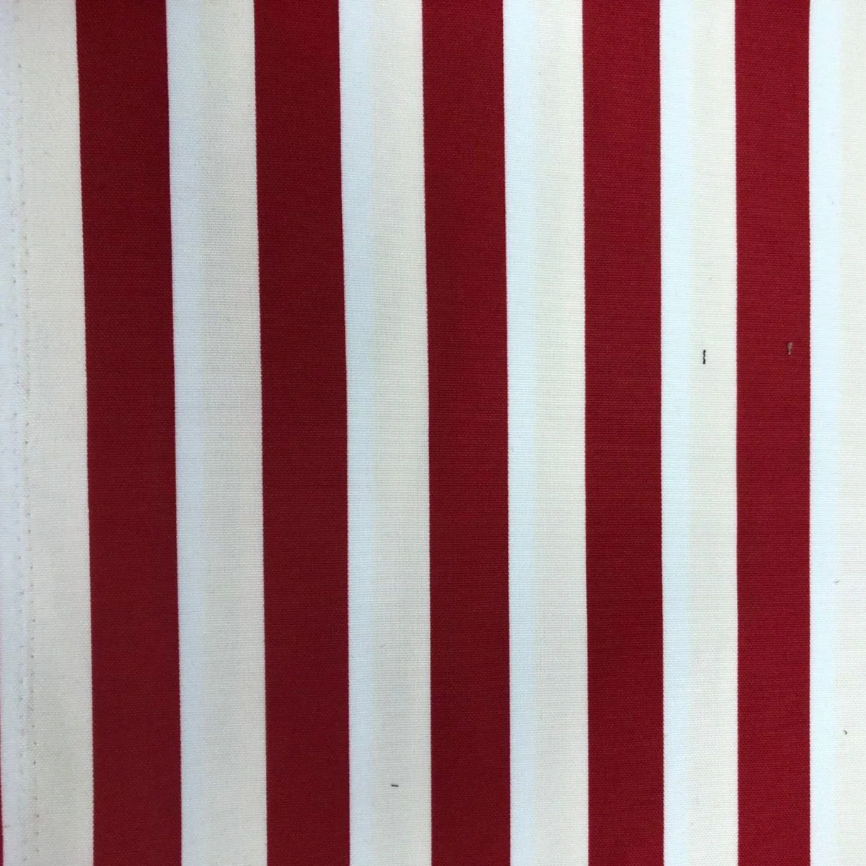 Tropical Stripe - Image 3