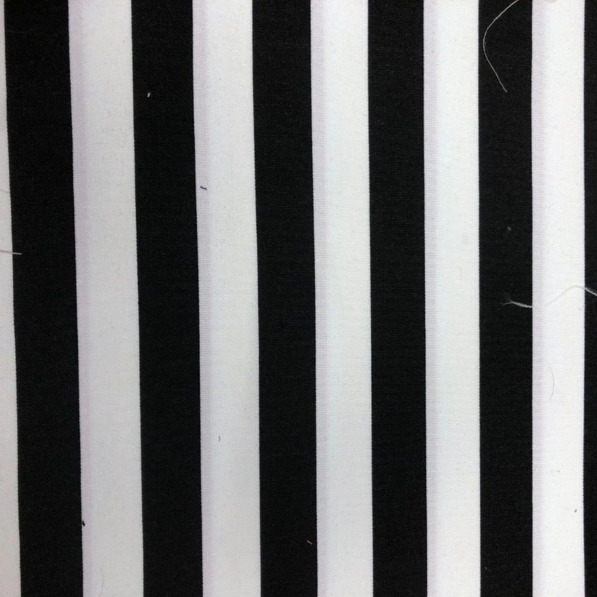 Tropical Stripe - Image 4