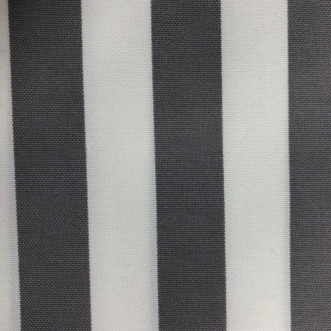 Tropical Stripe - Image 5