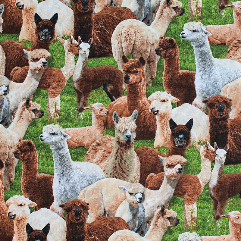 Farm Animals - 44/45" - 100% Cotton