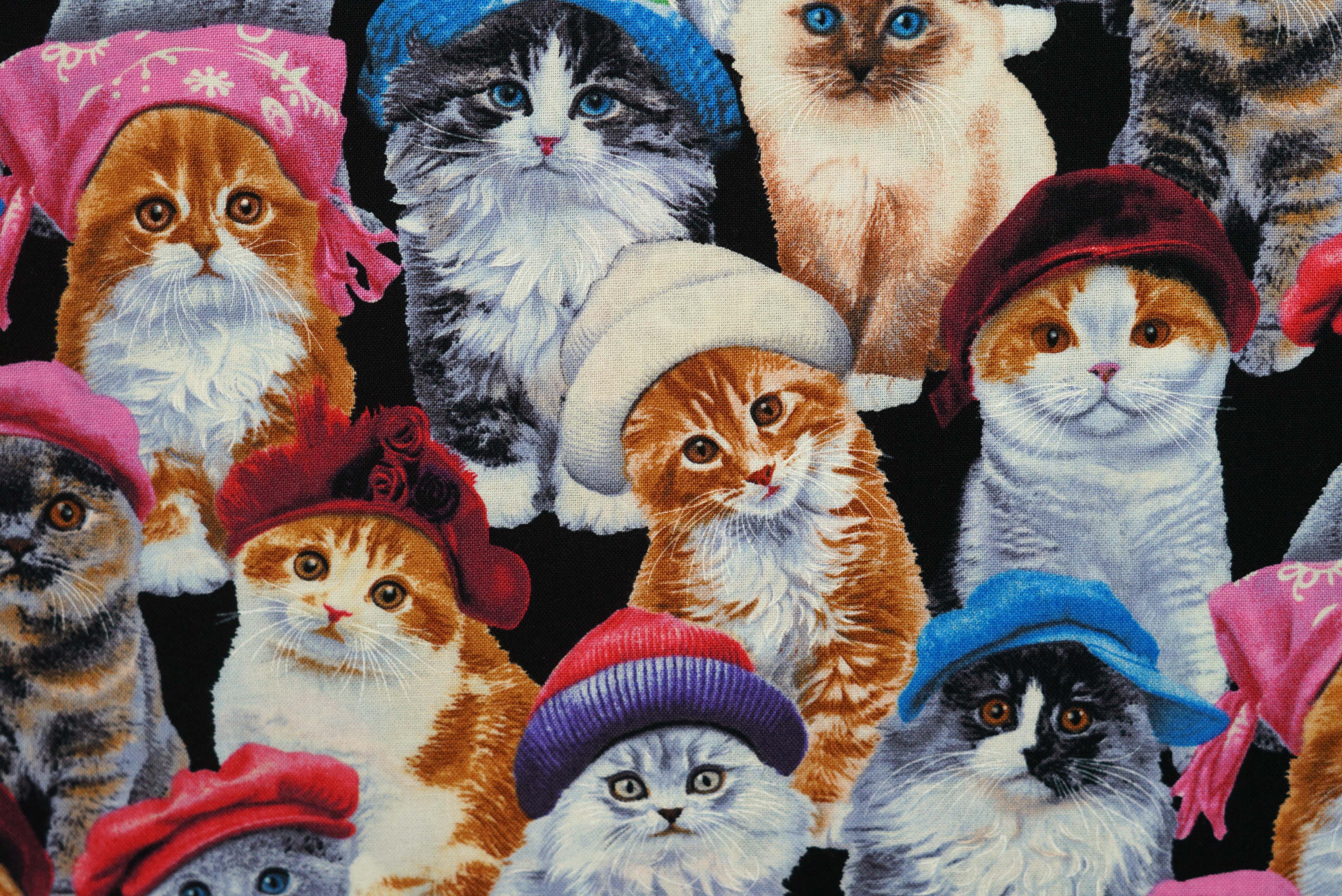 Adorable Pets in Hats - 44/45" - 100% Cotton - Image 2