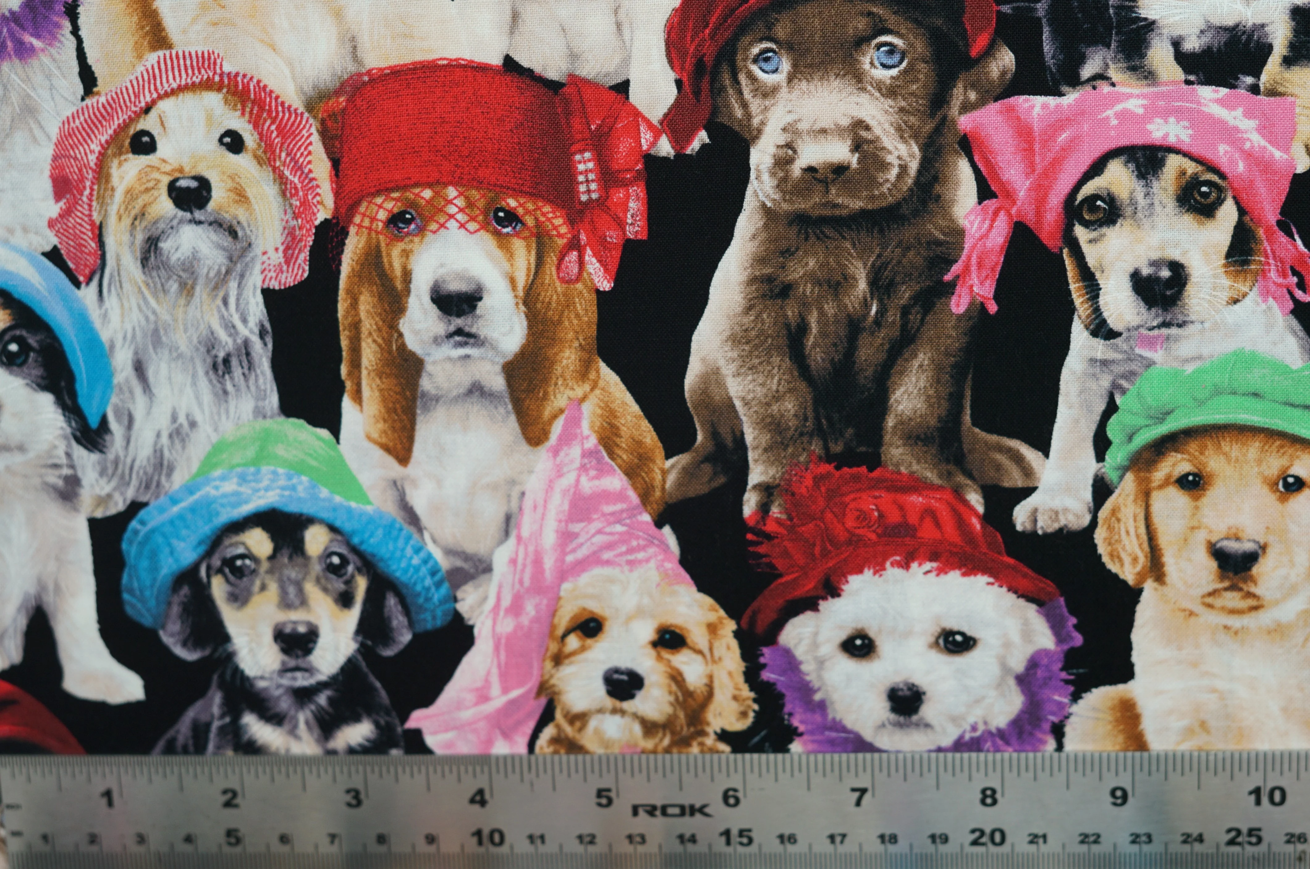 Adorable Pets in Hats - 44/45" - 100% Cotton - Image 6