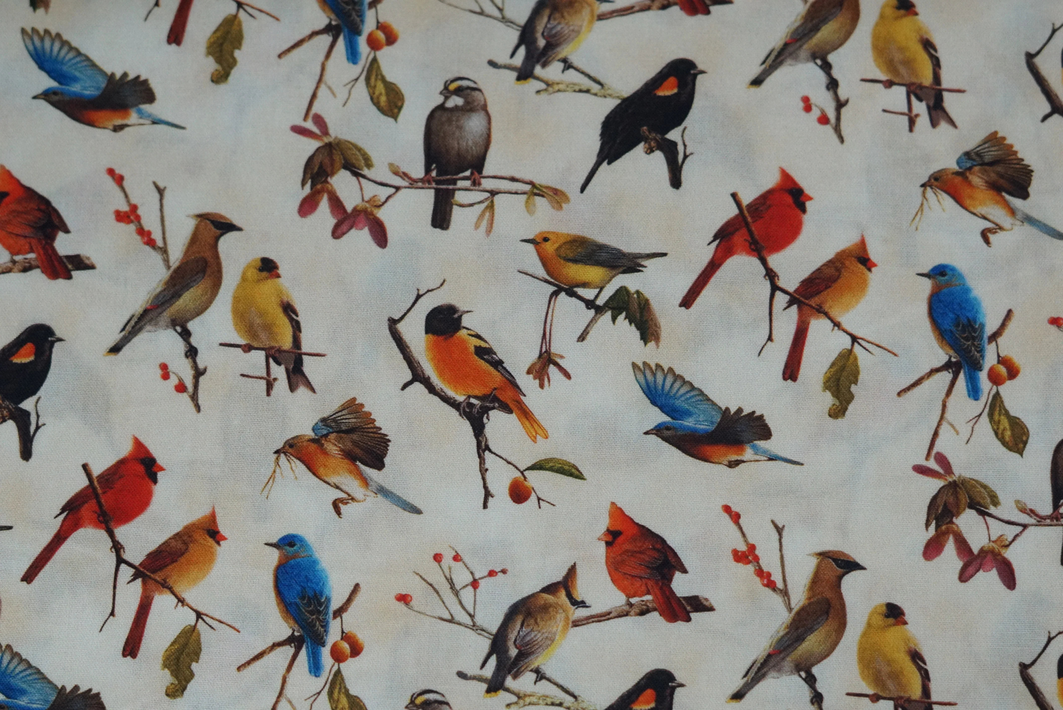 Songbirds - 44/45" - 100% Cotton - Image 2