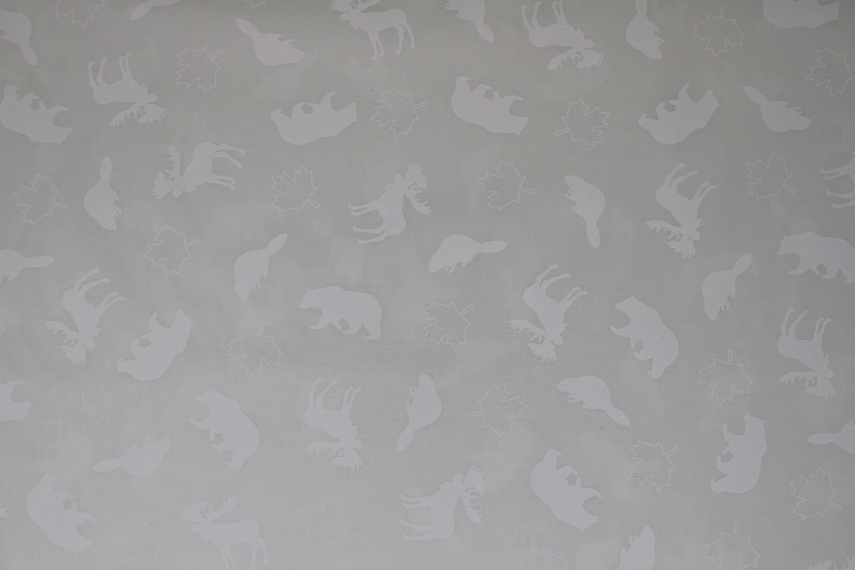 Discover Canada 2 - 45'' - 100% cotton - Image 2
