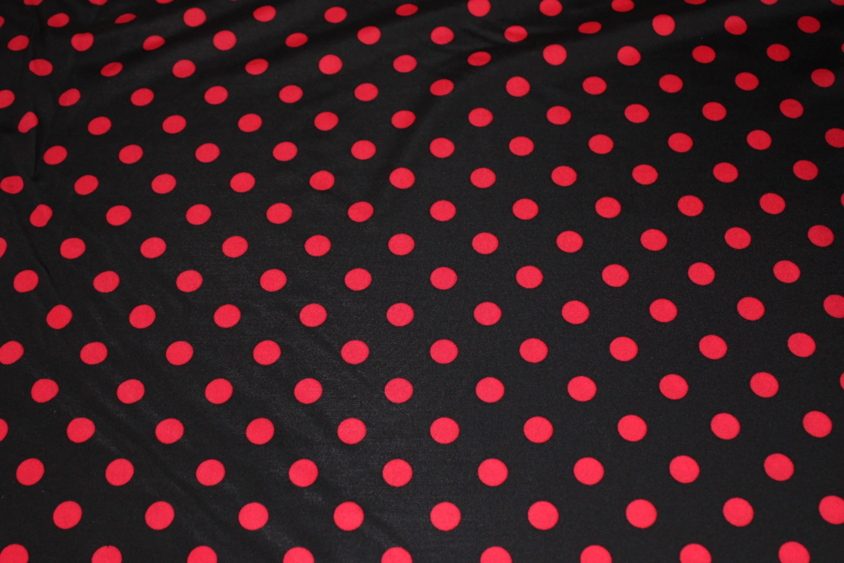 Polka Dots Spandex - 60" - Image 5