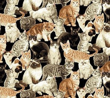 Cat Tales - 45" - 100% cotton - Image 8