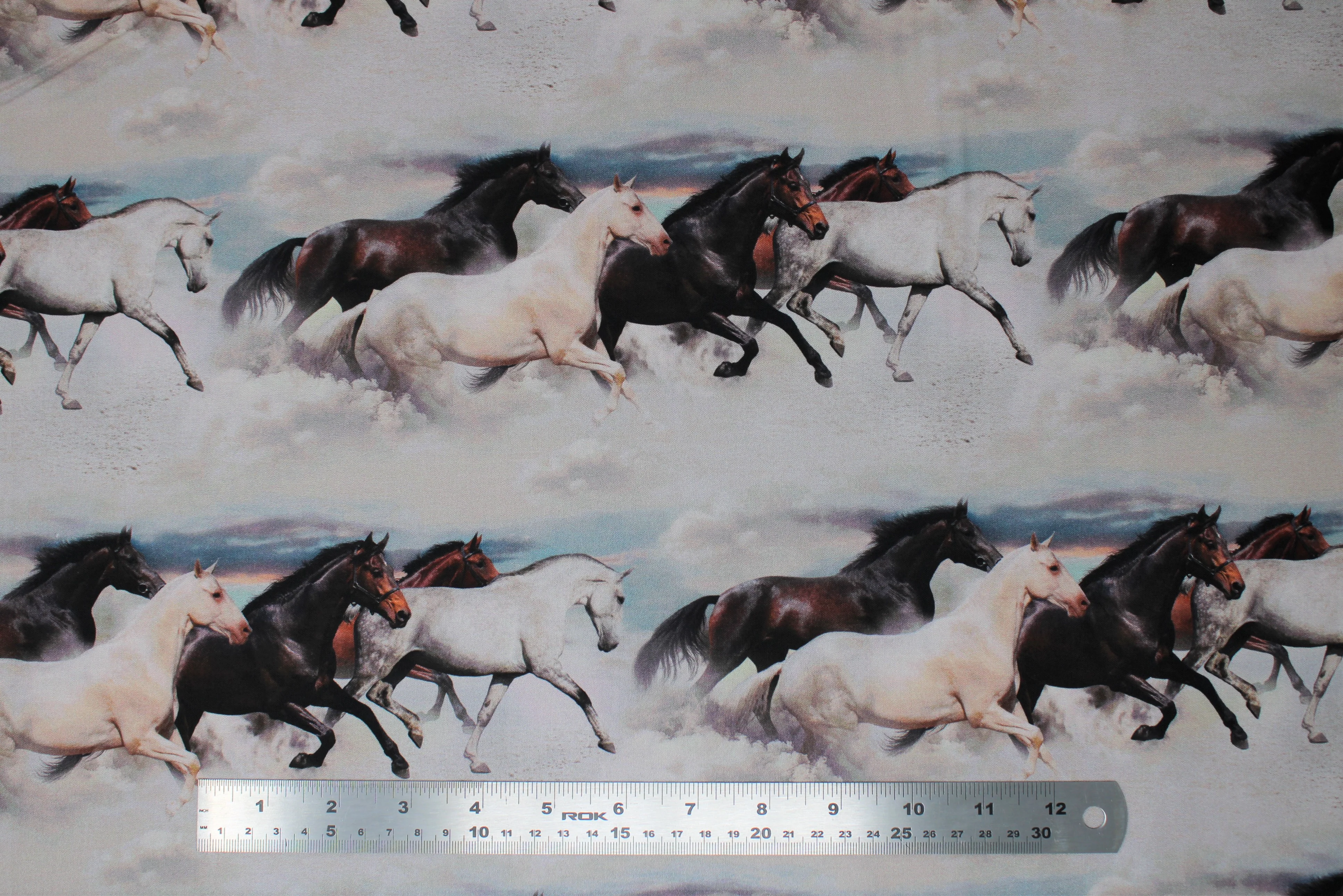 Maverick - Beige Multi Mustang Border - 45" - 100% Cotton - Image 2