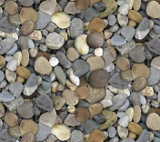 Naturescapes - 45" - 100% Cotton - Northcott - Image 10