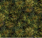 Naturescapes - 45" - 100% Cotton - Northcott - Image 3