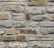 Naturescapes - 45" - 100% Cotton - Northcott - Image 7