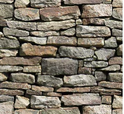 Naturescapes - 45" - 100% Cotton - Northcott - Image 9