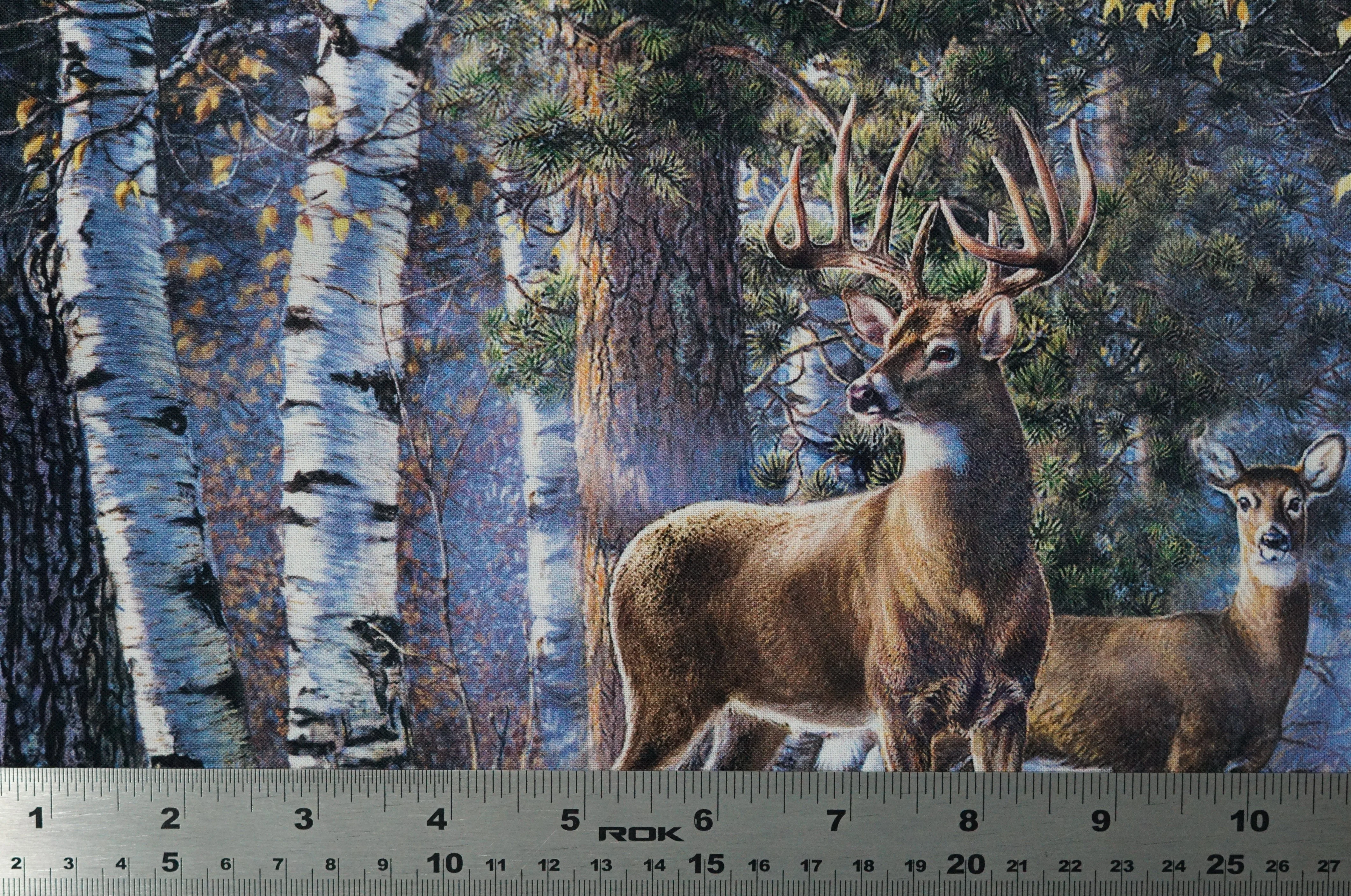 Naturescapes First Light - 44/45" - 100% Cotton - Northcott - Image 6