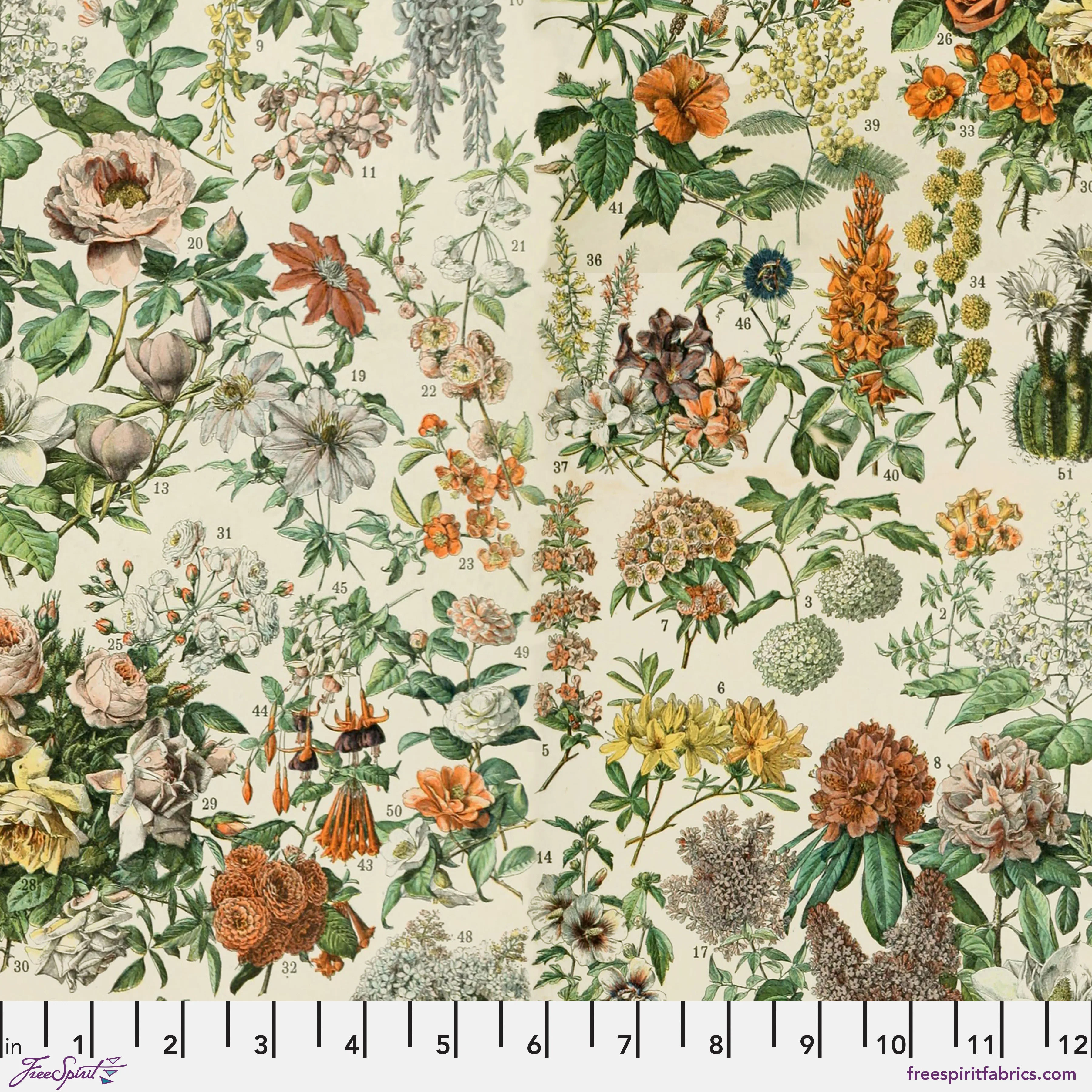 Palette Orange - 44" - 100% cotton - Tim Holtz - Image 17