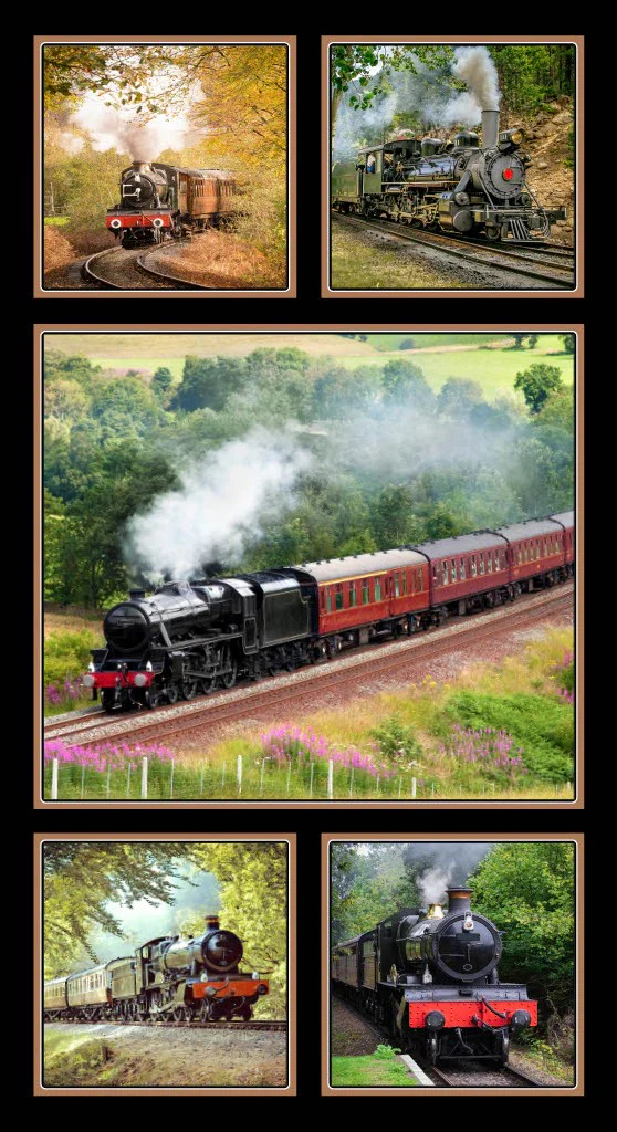 Steam Trains - 44/45" - 100% cotton - Image 4