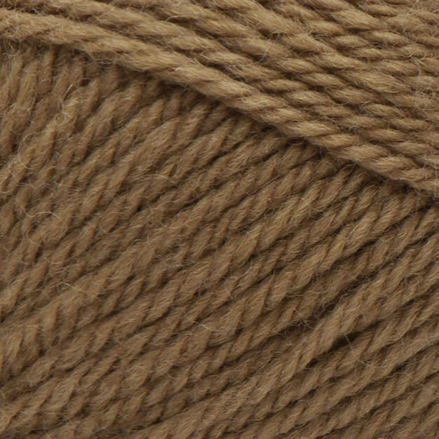 Classic Wool Worsted - 100g - Patons - Image 18