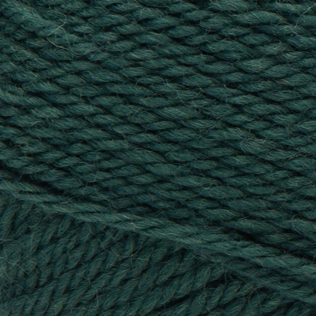 Classic Wool Worsted - 100g - Patons - Image 20