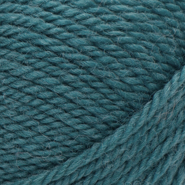 Classic Wool Worsted - 100g - Patons - Image 21