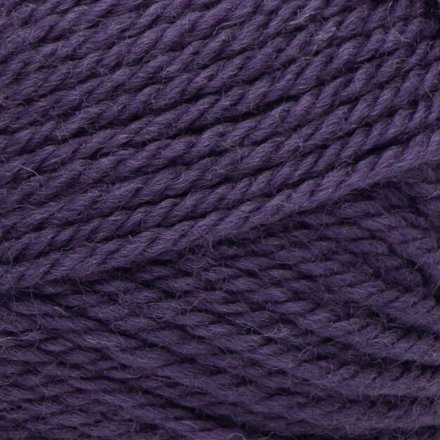 Classic Wool Worsted - 100g - Patons - Image 25