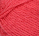 Classic Wool Worsted - 100g - Patons - Image 39