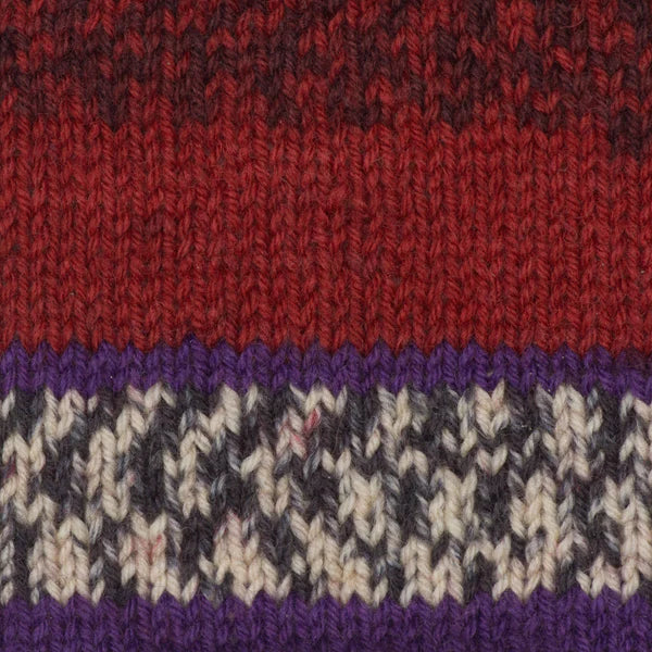 Kroy Socks - 50g - Patons - Image 101