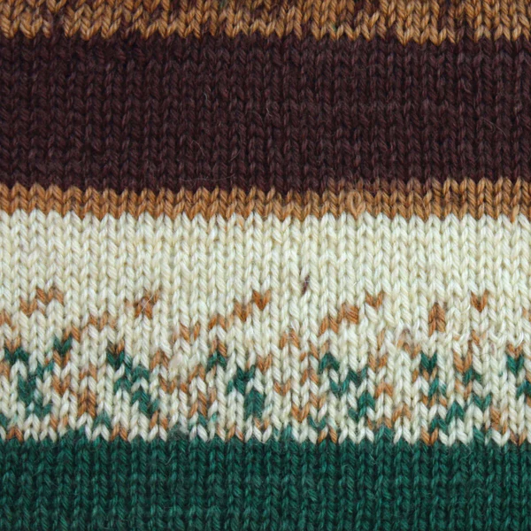 Kroy Socks - 50g - Patons - Image 110